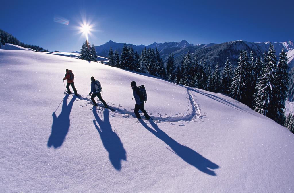 Apartment Christine Aschau Im Zillertal